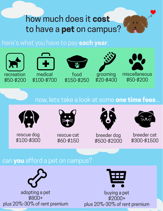 How Much is Adopting a Dog