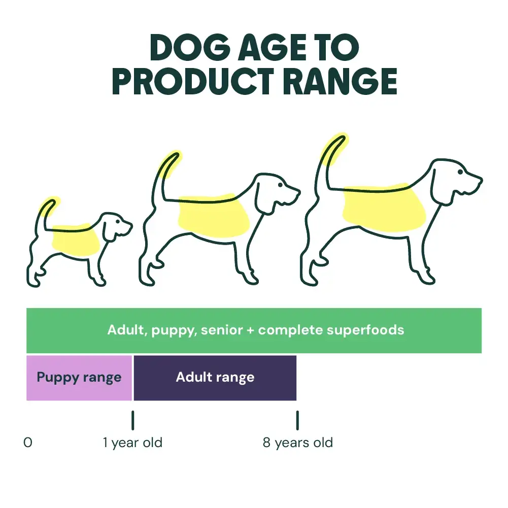 How Much Should I Feed My Dog Calculator: Find Perfect Portions