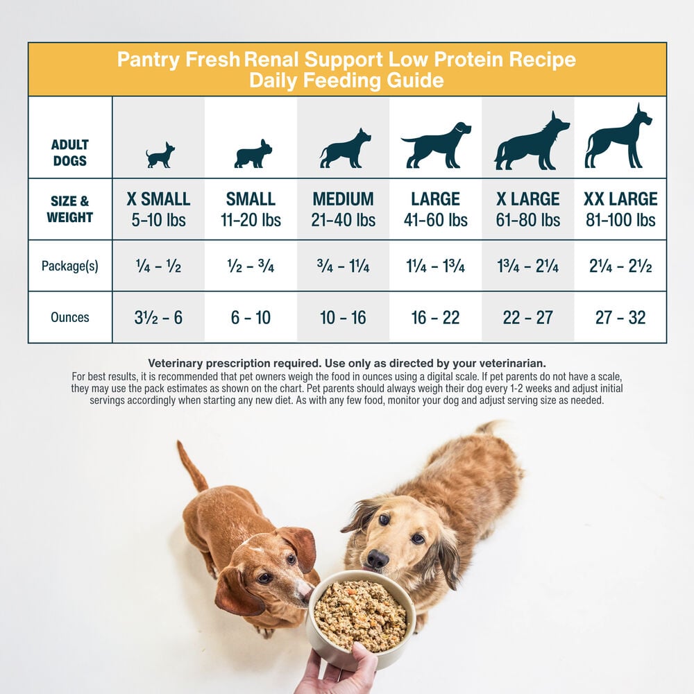 How Much to Feed a Dog: Ultimate Feeding Guide