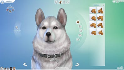 How to Adopt Dog Sims 4
