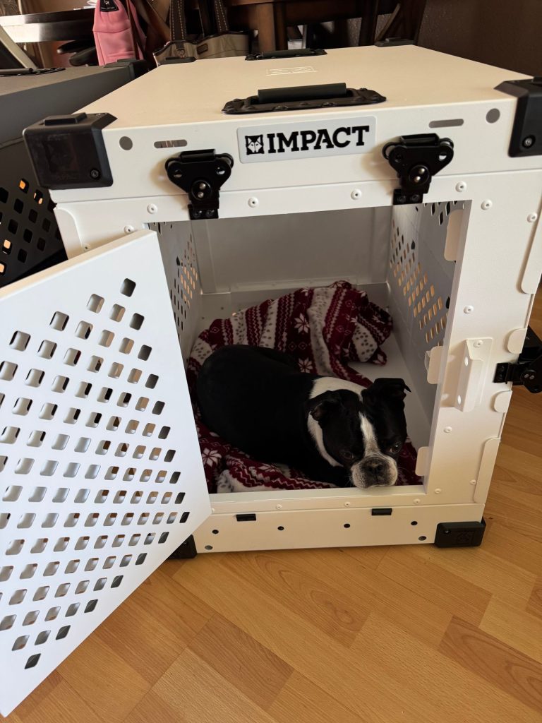 How to Collapse Dog Crate