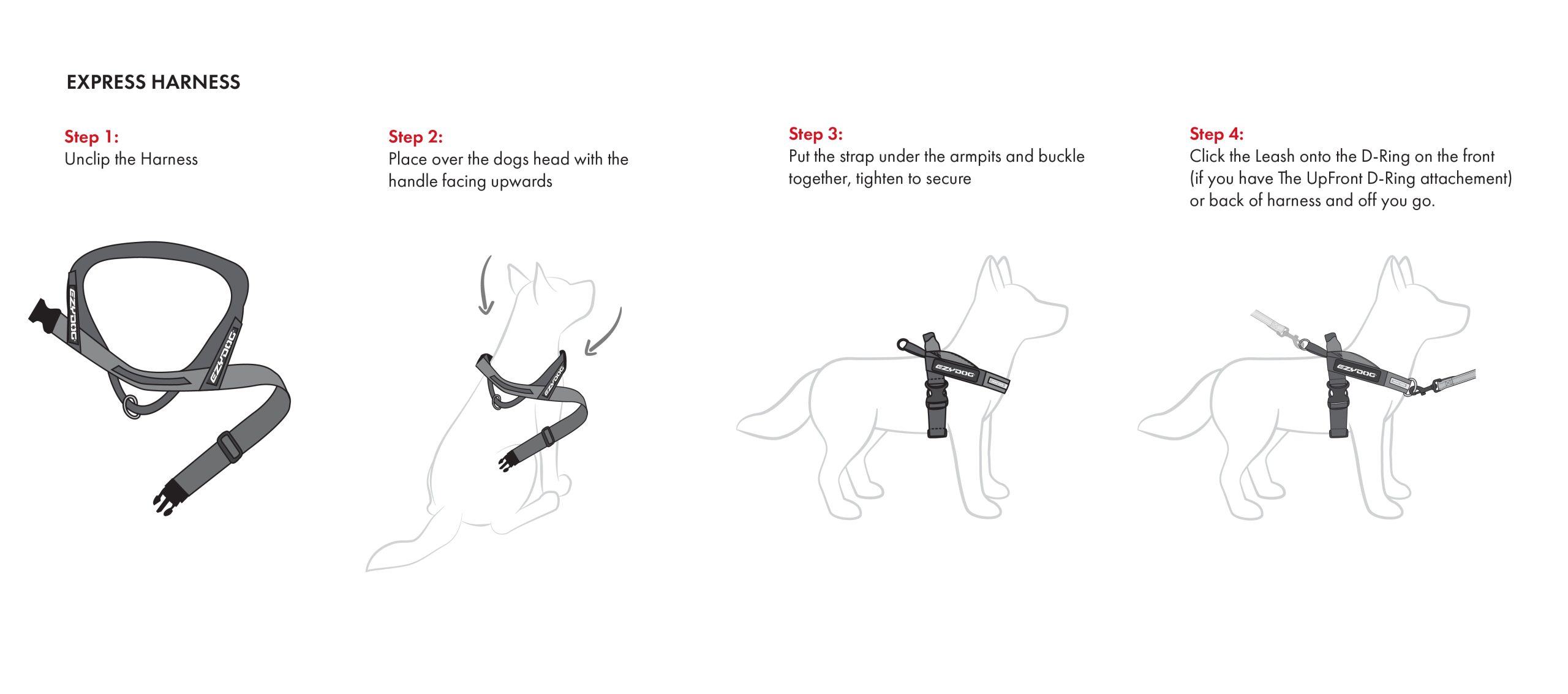 How to Fit a Dog Harness: Simple Steps for Success