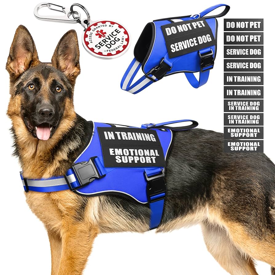 How to Get a Service Dog Vest: Essential Steps