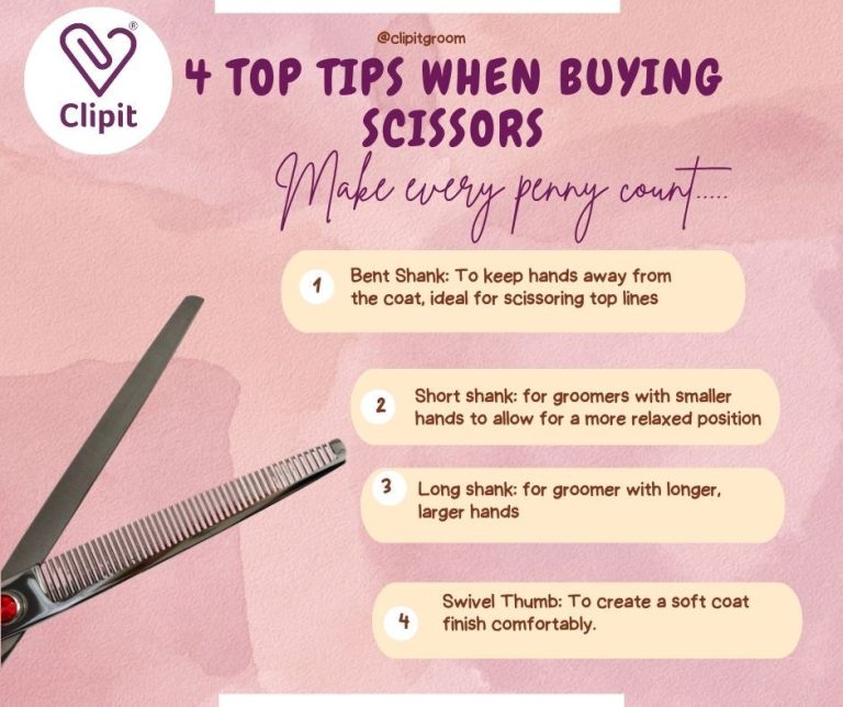 How to Groom a Dog With Scissors