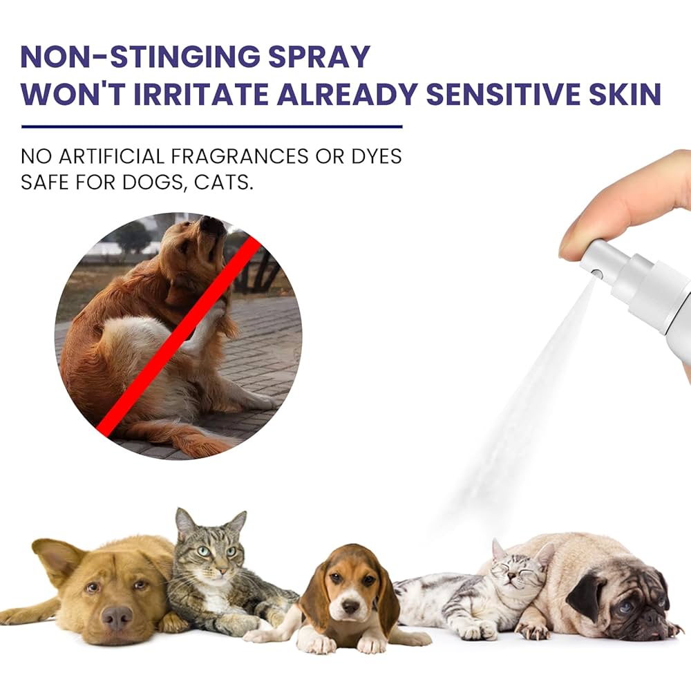 How to Help Dog Itchy Skin