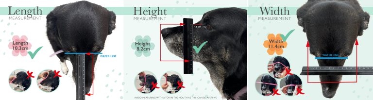 How to Measure a Muzzle for a Dog
