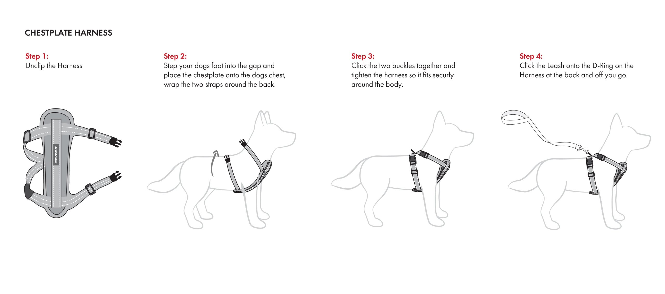 How to Put a Dog Harness on Step by Step: Easy Guide