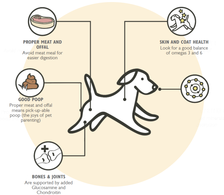 How to Put a Dog on a Diet
