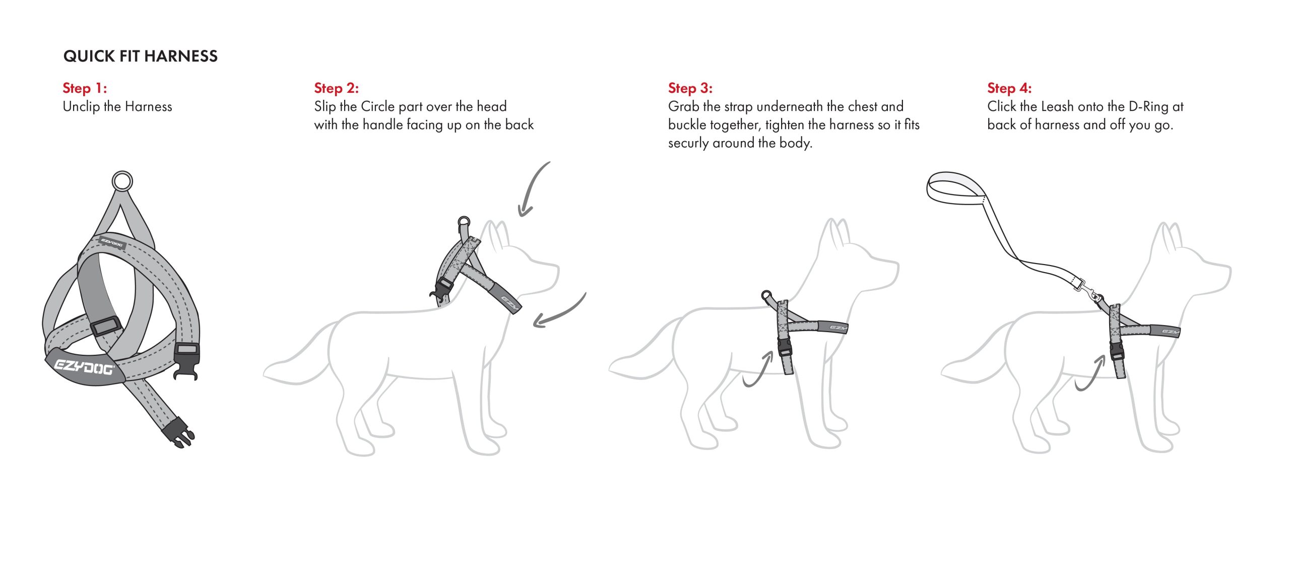 How to Put Harness on Dog: Step-by-Step Guide