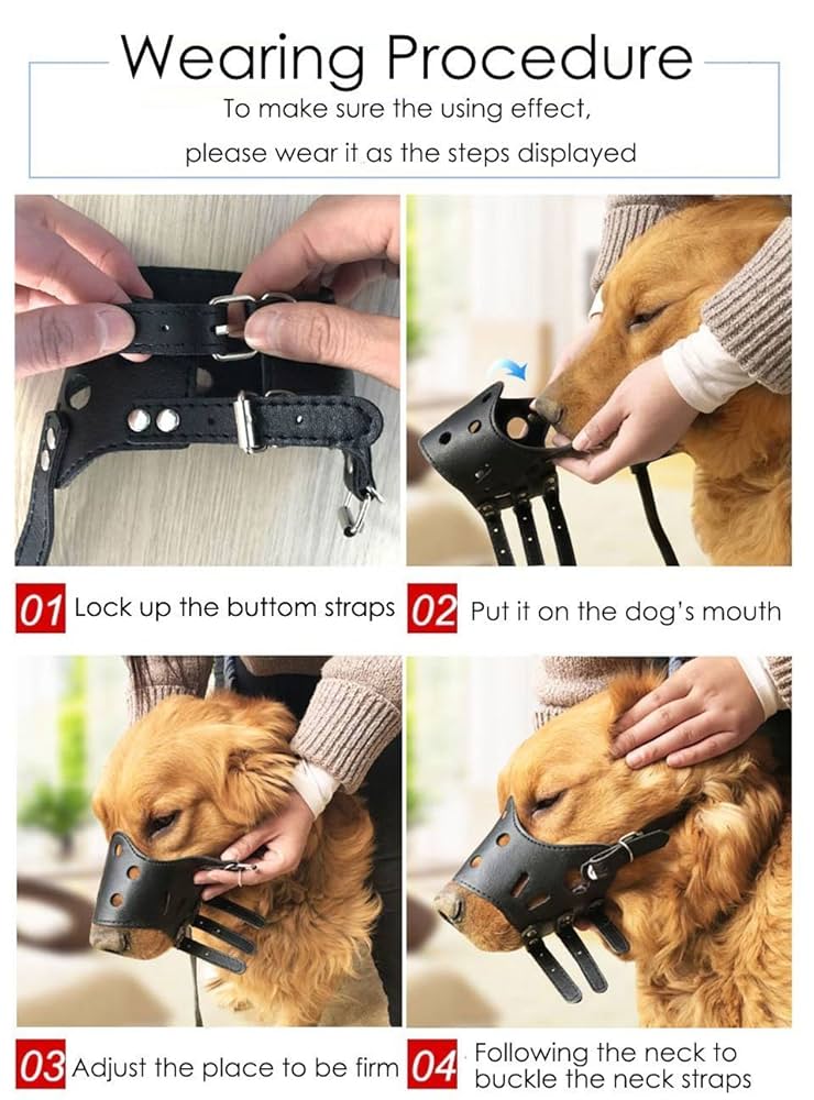 How to Put Muzzle on Dog