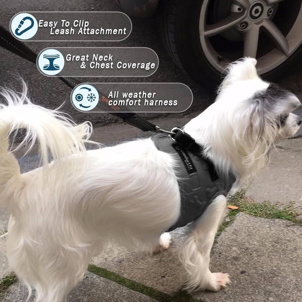How to Put on a Dog Harness Vest: Step-by-Step Guide