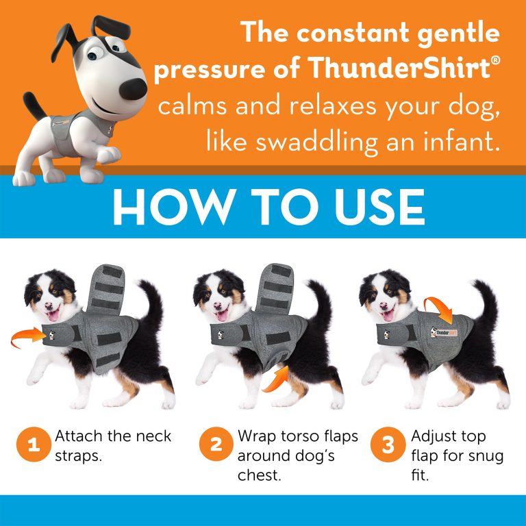 How to Put on a Thundershirt for Dogs