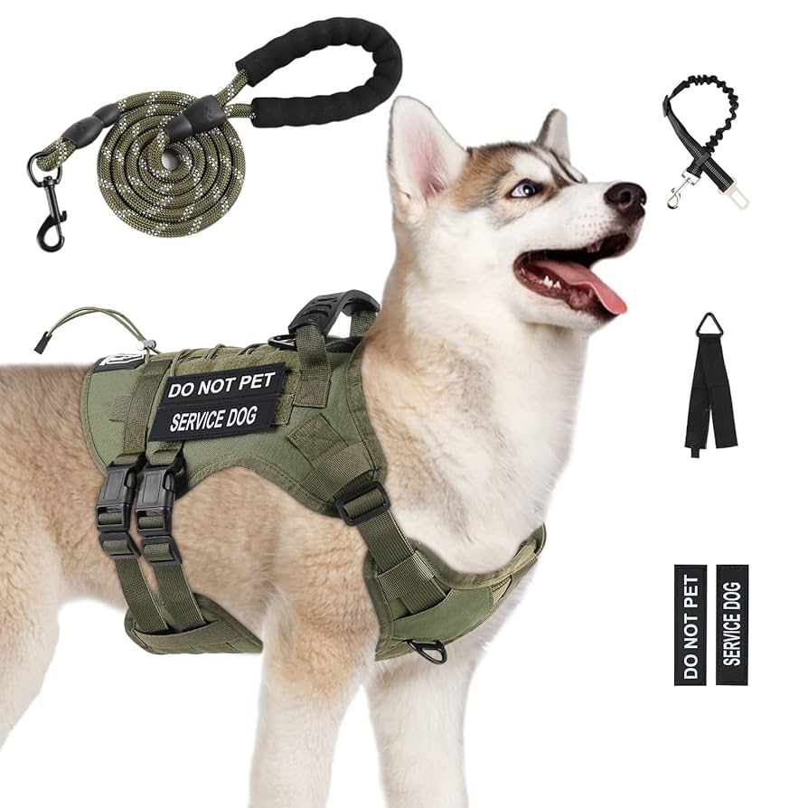 How to Put on Dog Harness Vest: Step-by-Step Guide