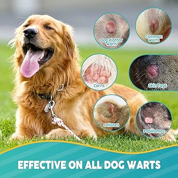 How to Remove Skin Tags on Dogs