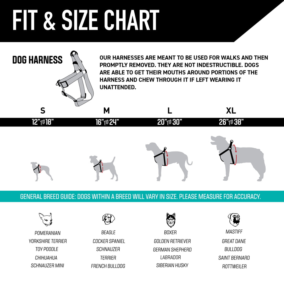 How to Size a Dog Harness: Expert Tips & Tricks