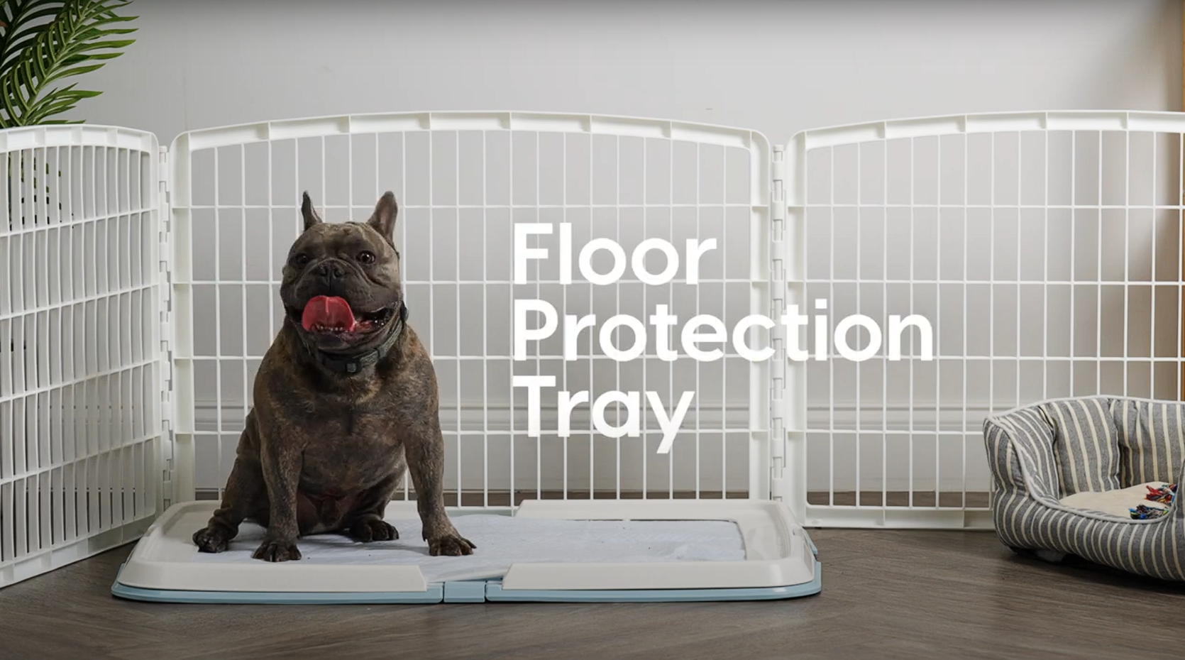 How to Stop Dog Peeing in Crate