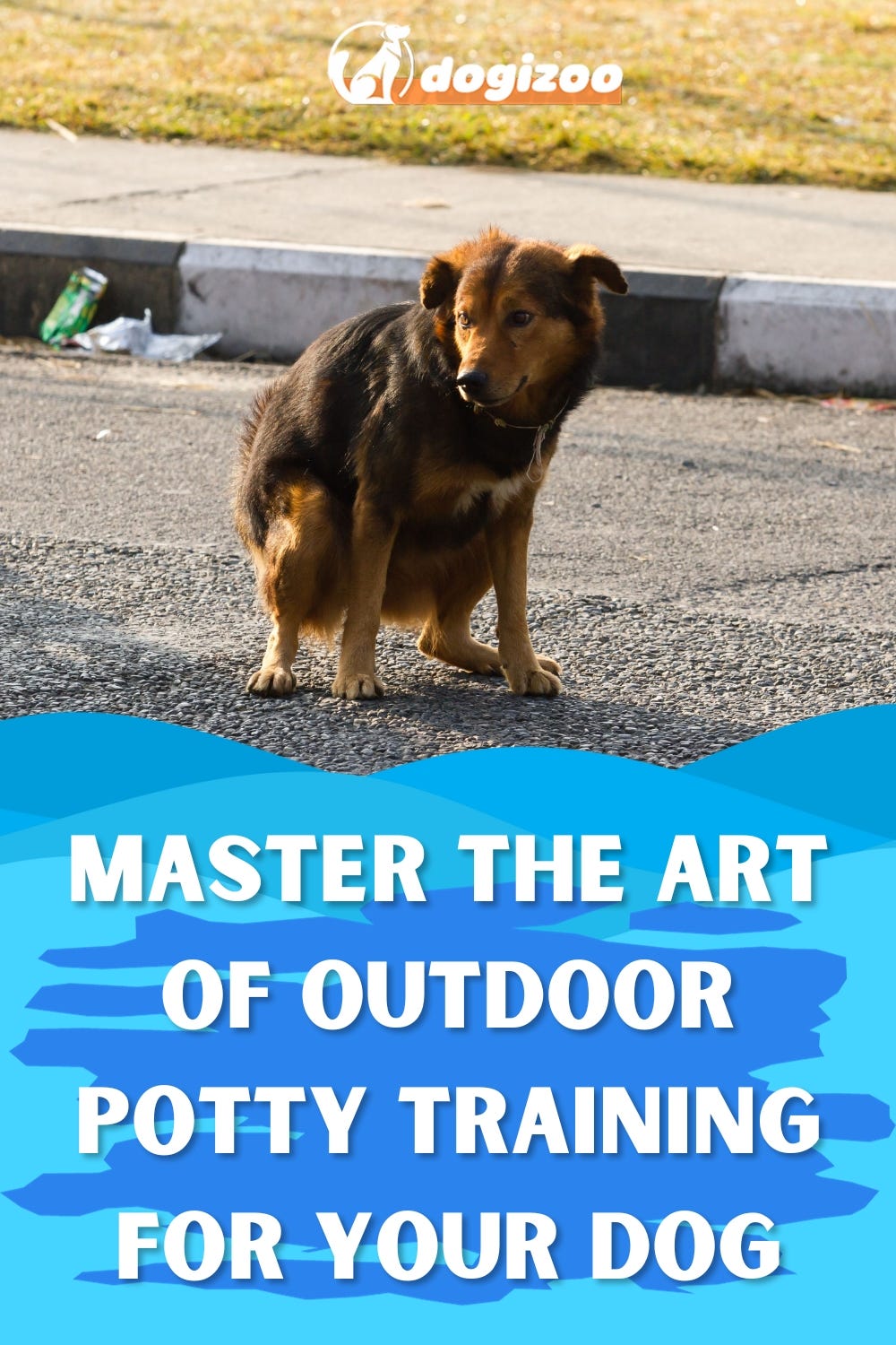 How to Train a Dog to Potty Outside