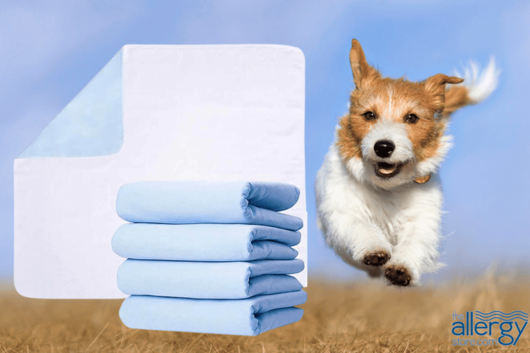 How to Train a Dog to Use a Pee Pad