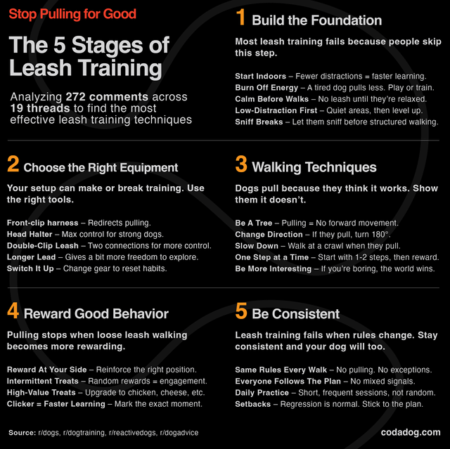 How to Train Your Dog Not to Pull on Lead