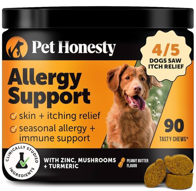 How to Treat Dog Skin Allergies