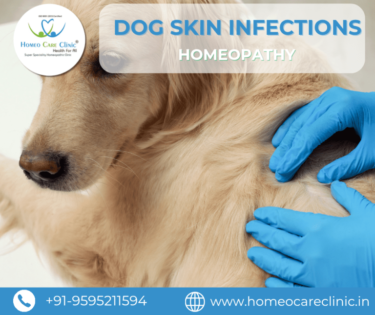 How to Treat Dog Skin Infection at Home Naturally