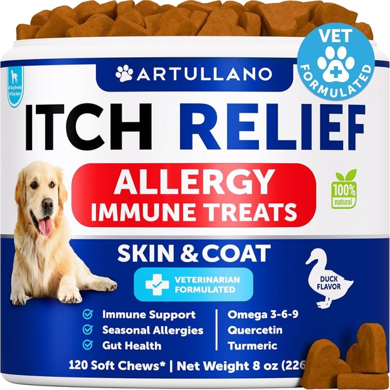 How to Treat Dogs Itchy Skin