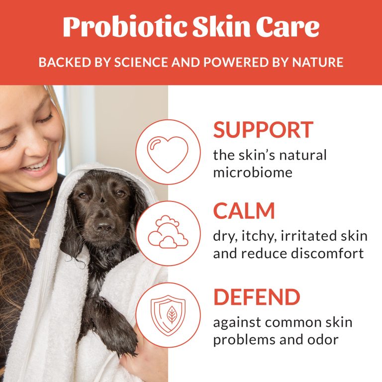 How to Treat Dry Itchy Skin on Dogs