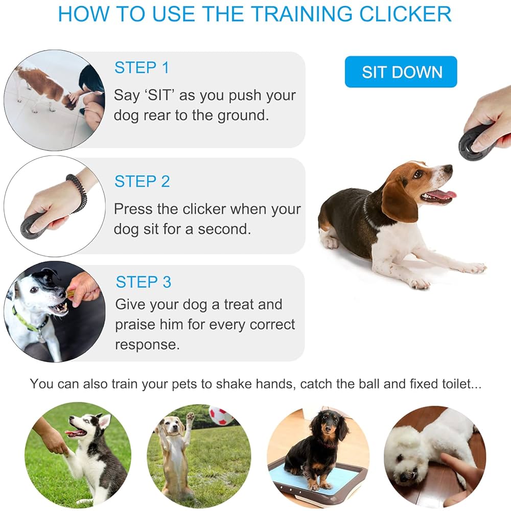 How to Use a Clicker With a Dog