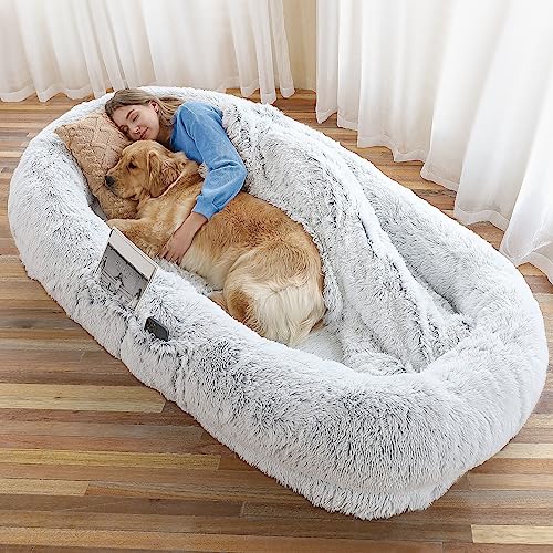 Human Sized Dog Bed