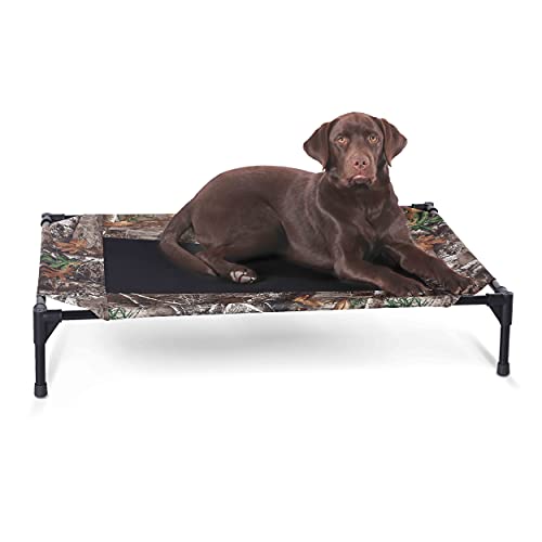 Hunting Dog