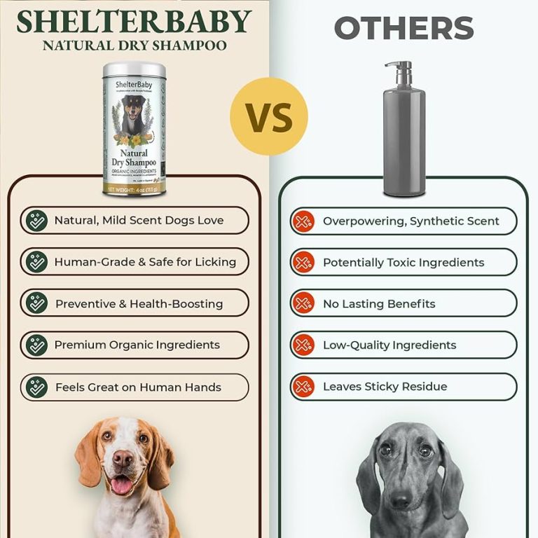 Is Dry Shampoo Safe for Dogs