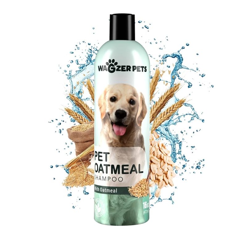 Is Oatmeal Shampoo Good for Dogs