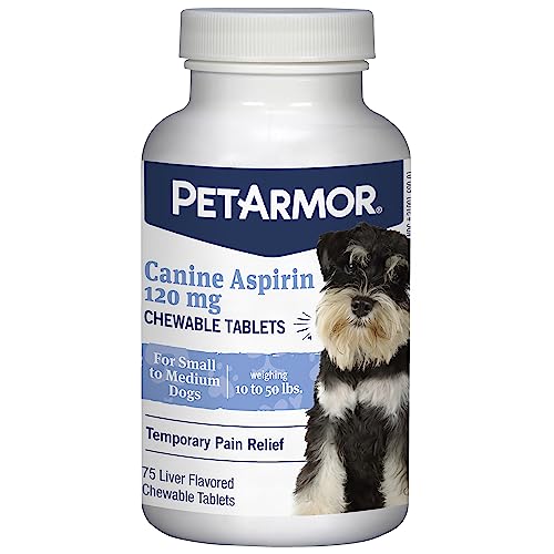 Meloxicam for Dogs