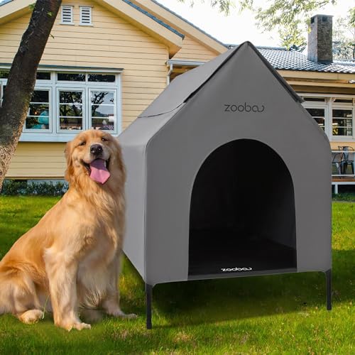 Outdoor Dog House