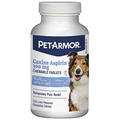 Pain Relief for Dogs