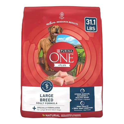 Purina Best Dog Food