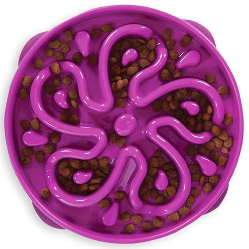Slow Feeder Dog Bowl