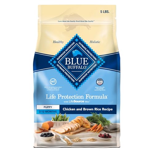 The Best Puppy Dog Food