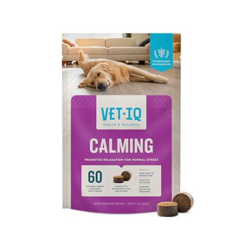 Trazodone for Dogs