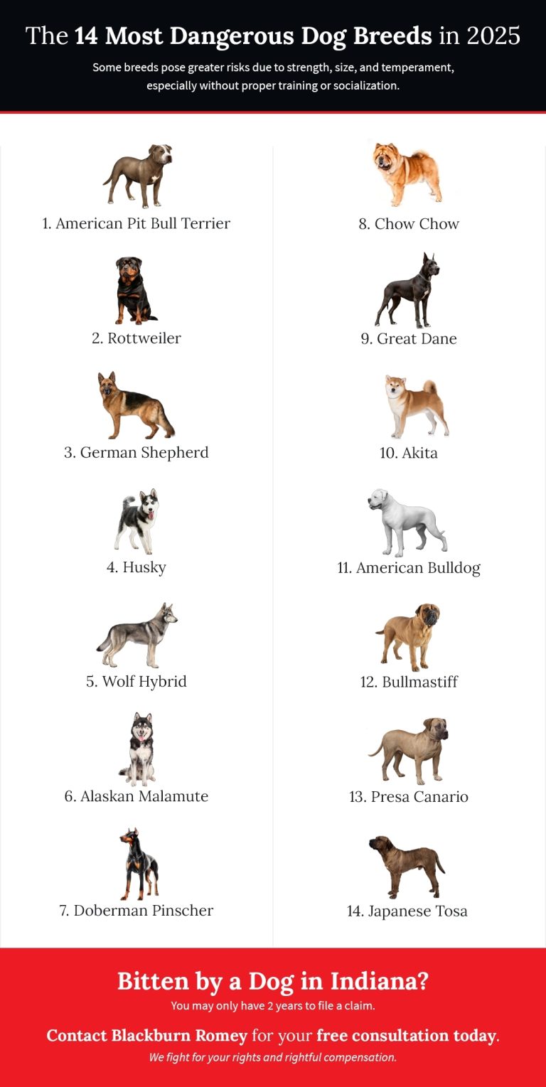 What are the Most Dangerous Dog Breeds