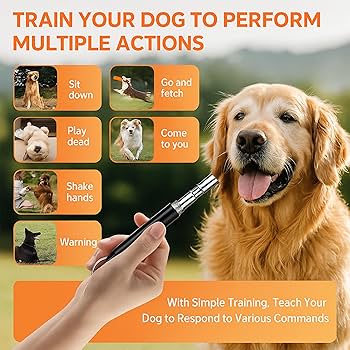 What Do Dog Whistles Do