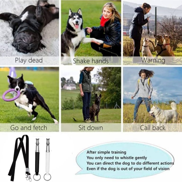 What Does a Dog Whistle Do