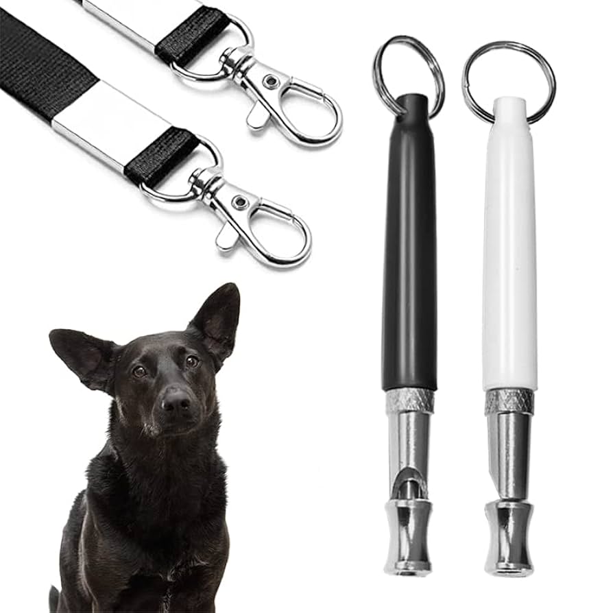 What Does a Dog Whistle Do to Dogs