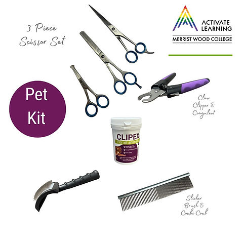What Does Dog Grooming Include