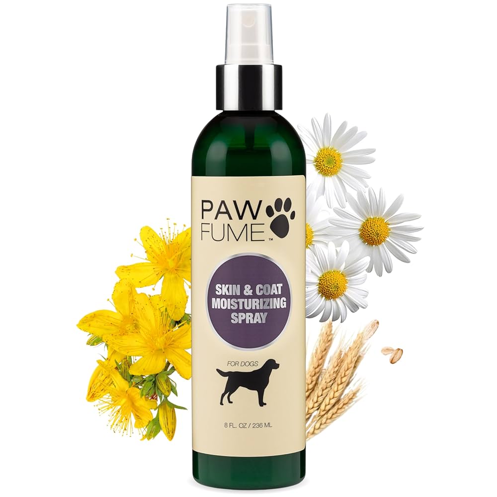 What Helps Dry Skin on Dogs