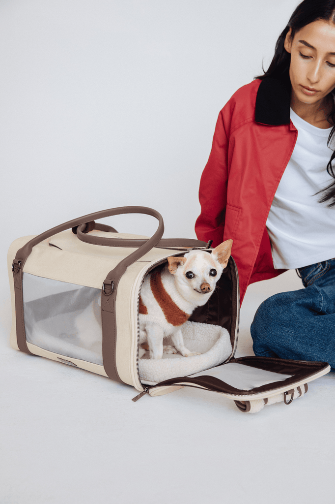 What is a Dog Bag: Essential Pet Travel Gear