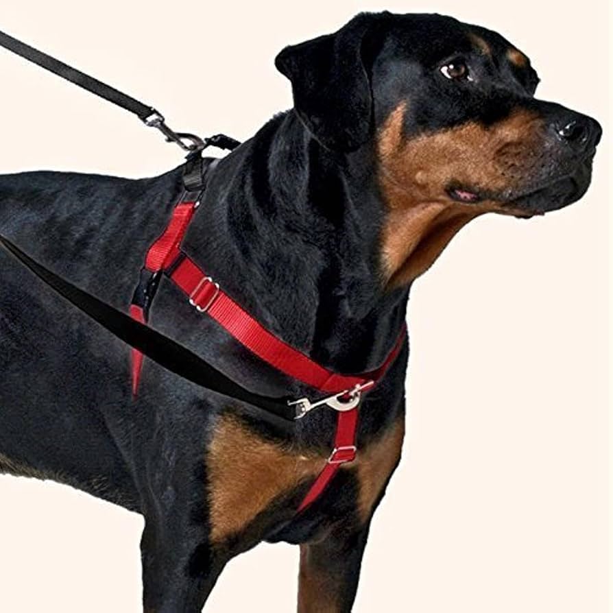 What is a No Pull Dog Harness: Essential Benefits Explained