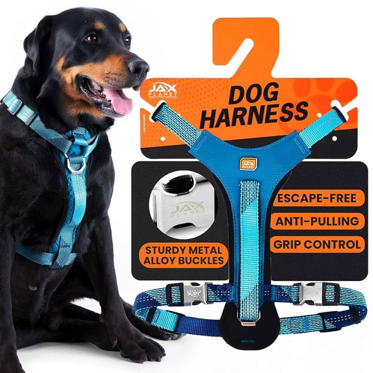What is a No Pull Harness for Dogs