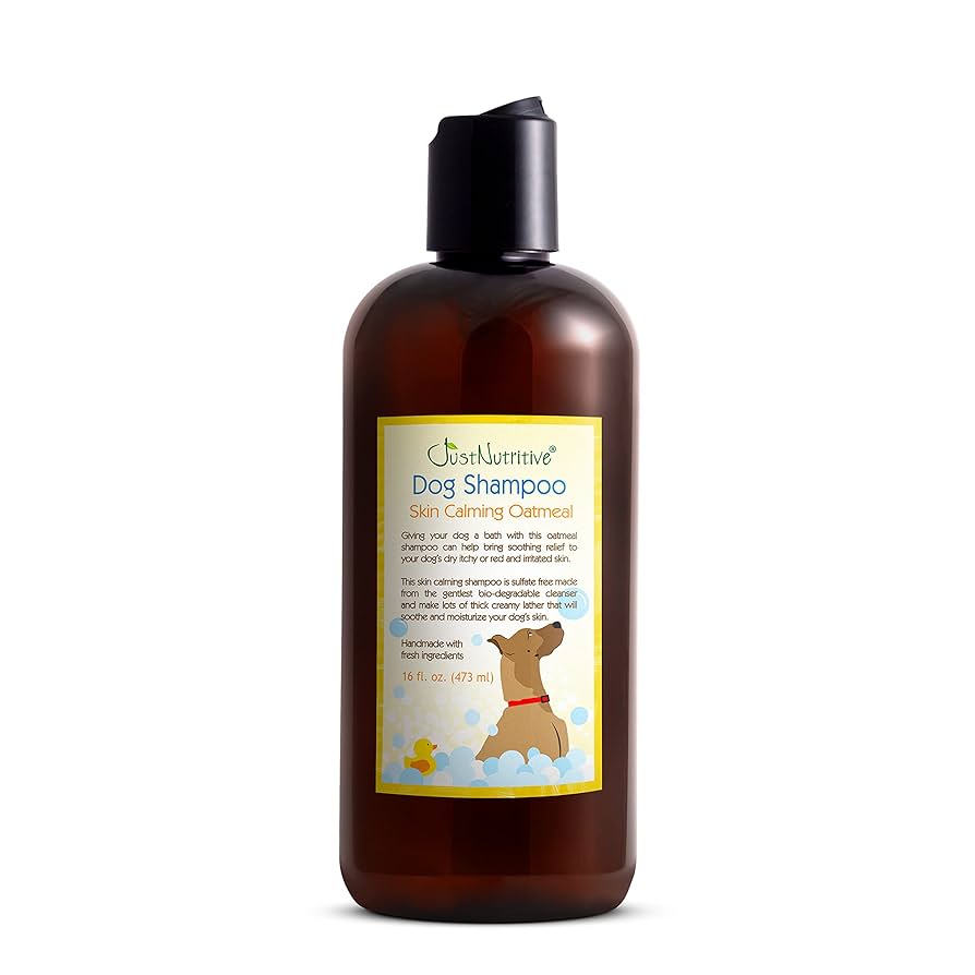 What is Best Shampoo for Dogs