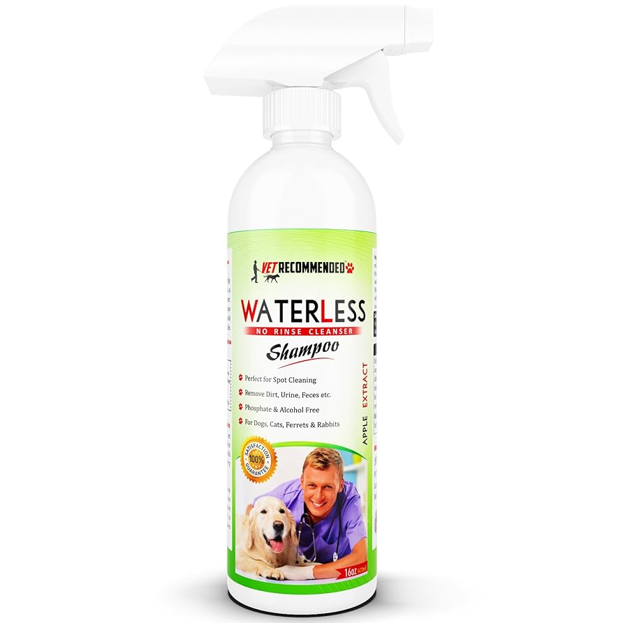 What is the Best Dry Shampoo for Dogs